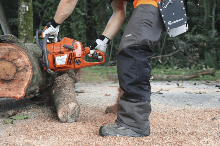 Chainsaw -365 2 Hus 365 (